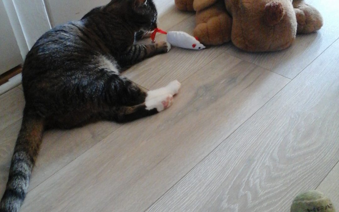 Sita ( was Diva)