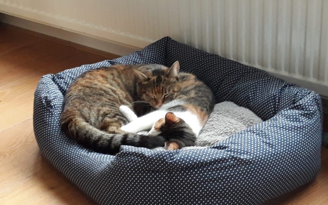 Mirjam en Gerrit