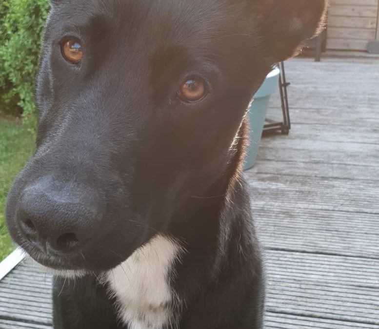Sita