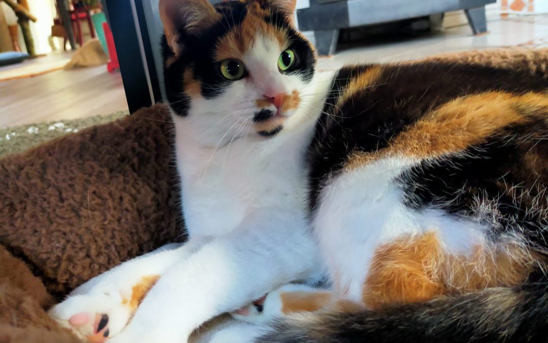 Sander en Karin Benjaminse