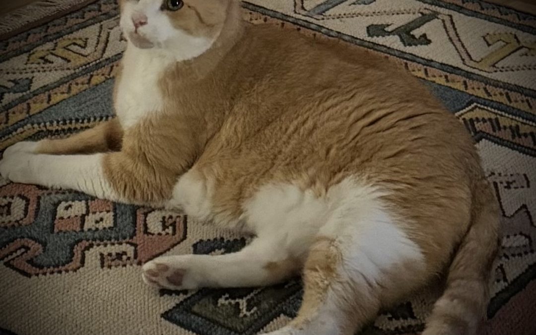 Anne-Miek en Erik Sligman