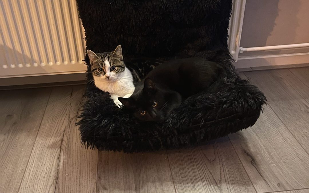 Renee & Mathijs