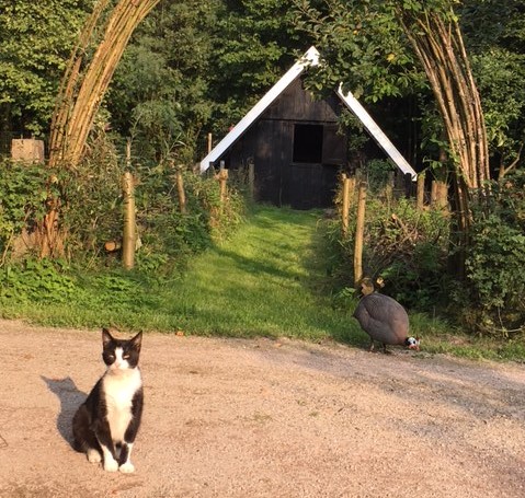 Bas en Greetje