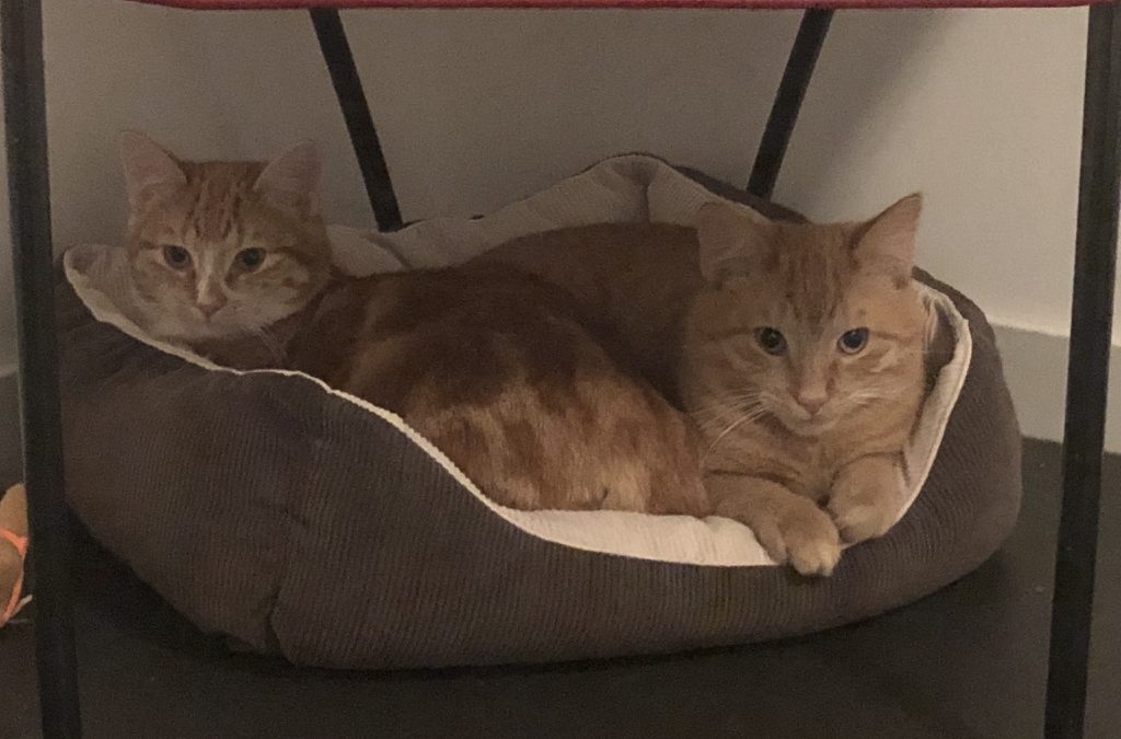 Keizer & Prince