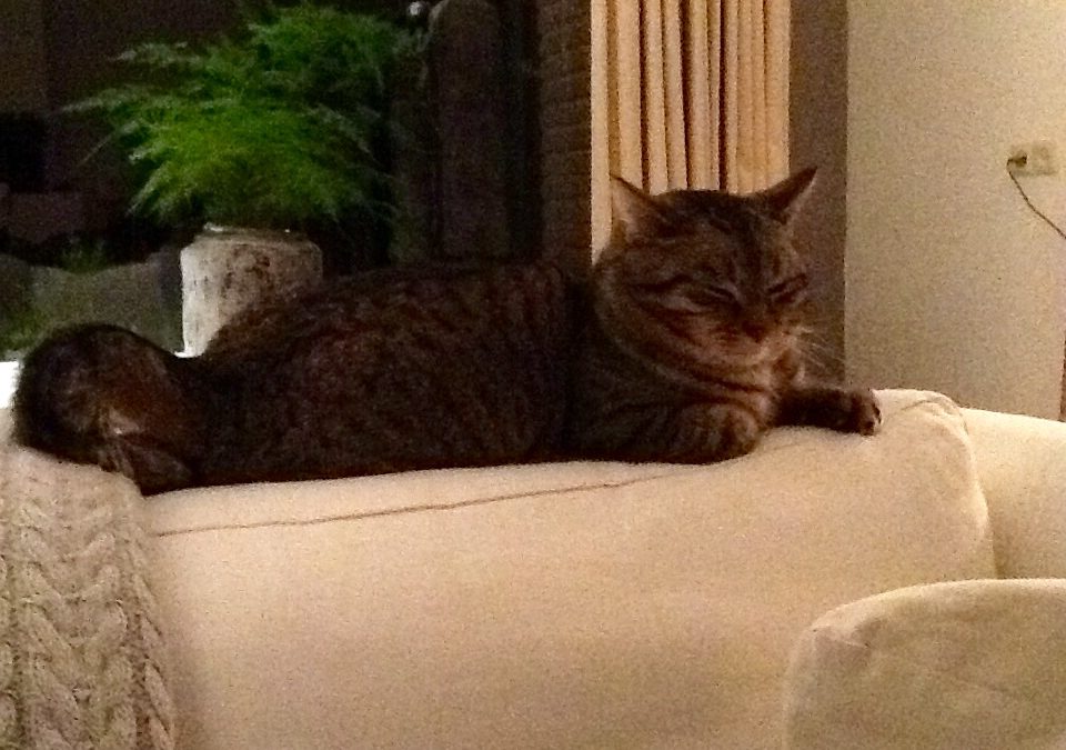 Bert en Hemmy Jansen
